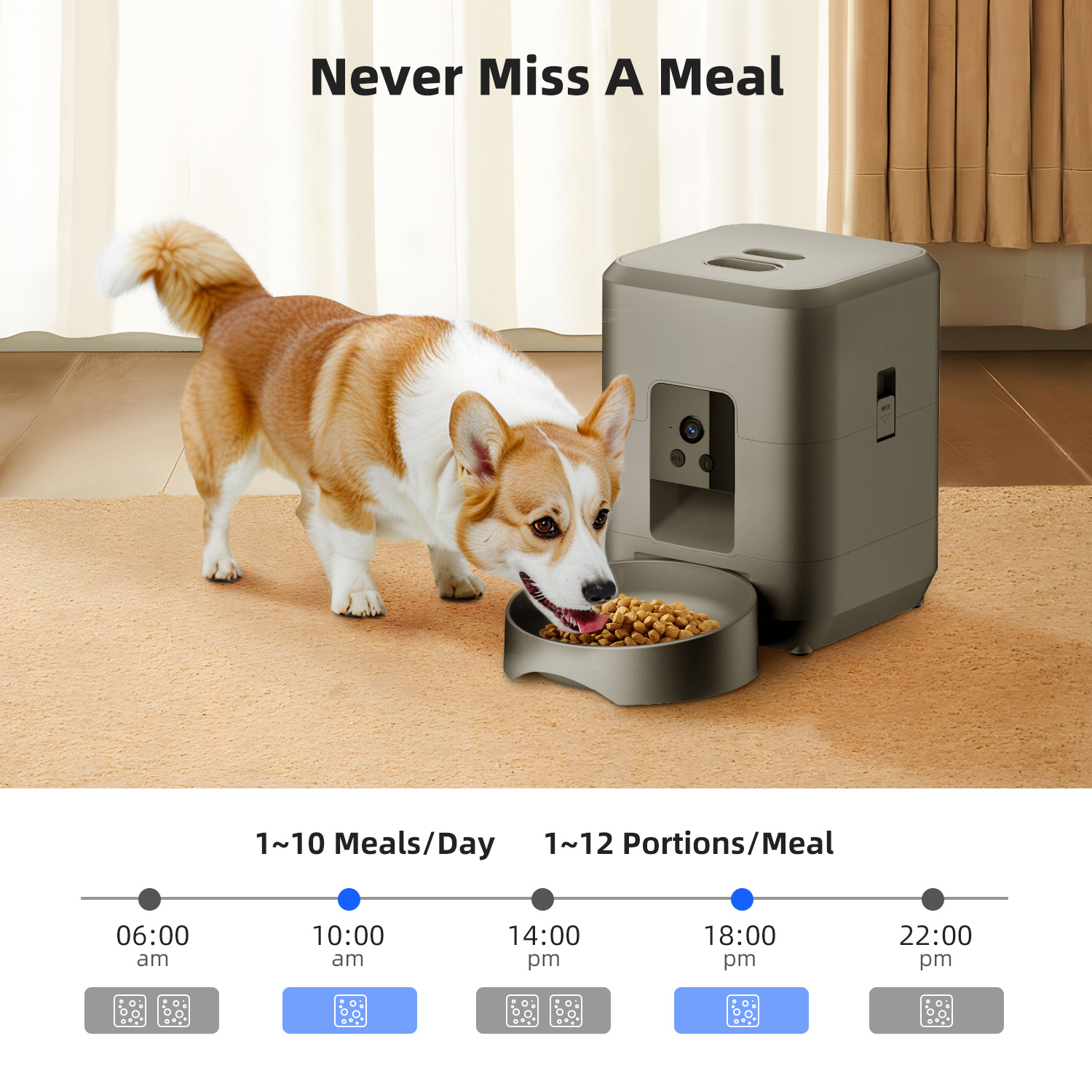 2L 自動給餌器、猫用スマート給餌器、Wi-Fiとカメラで操 - Kitchen Appliances Video のレビューと価格